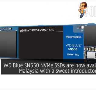 wd blue sn550 nvme ssd
