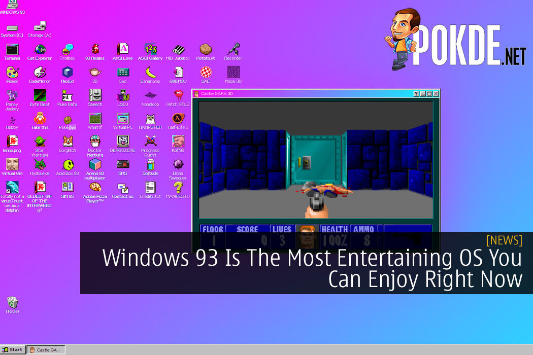 what to do in windows 93 net