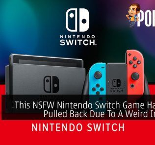 This NSFW Nintendo Switch Game Has Been Pulled Back Due To A Weird Incident 22