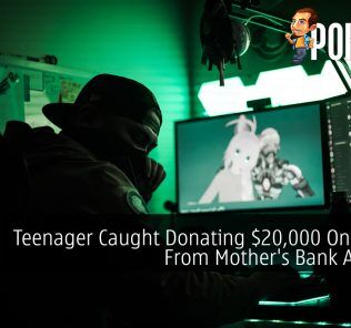 Teenager Caught Donating $20,000 On Twitch From Mother's Bank Account 28