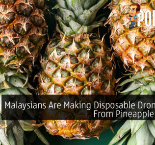 Malaysians Are Making Disposable Drone Parts From Pineapple Leaves 30