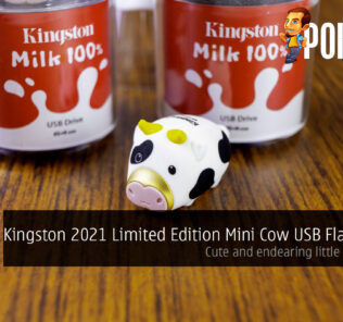 Kingston 2021 Limited Edition Mini Cow USB Flash Drive review cover