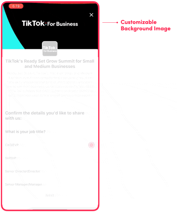 Tiktok Unveils Lead Generation Ads For Better Business Customer Engagement 19