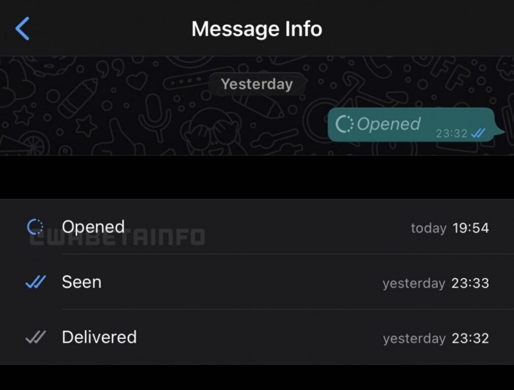 WhatsApp Beta for iOS Getting Disappearing Messages Feature