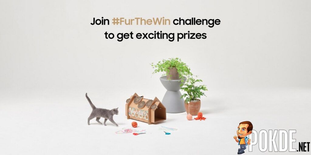 Take Part In The #FurTheWin Eco-friendly Pet Homes Challenge To Win Samsung Products 23