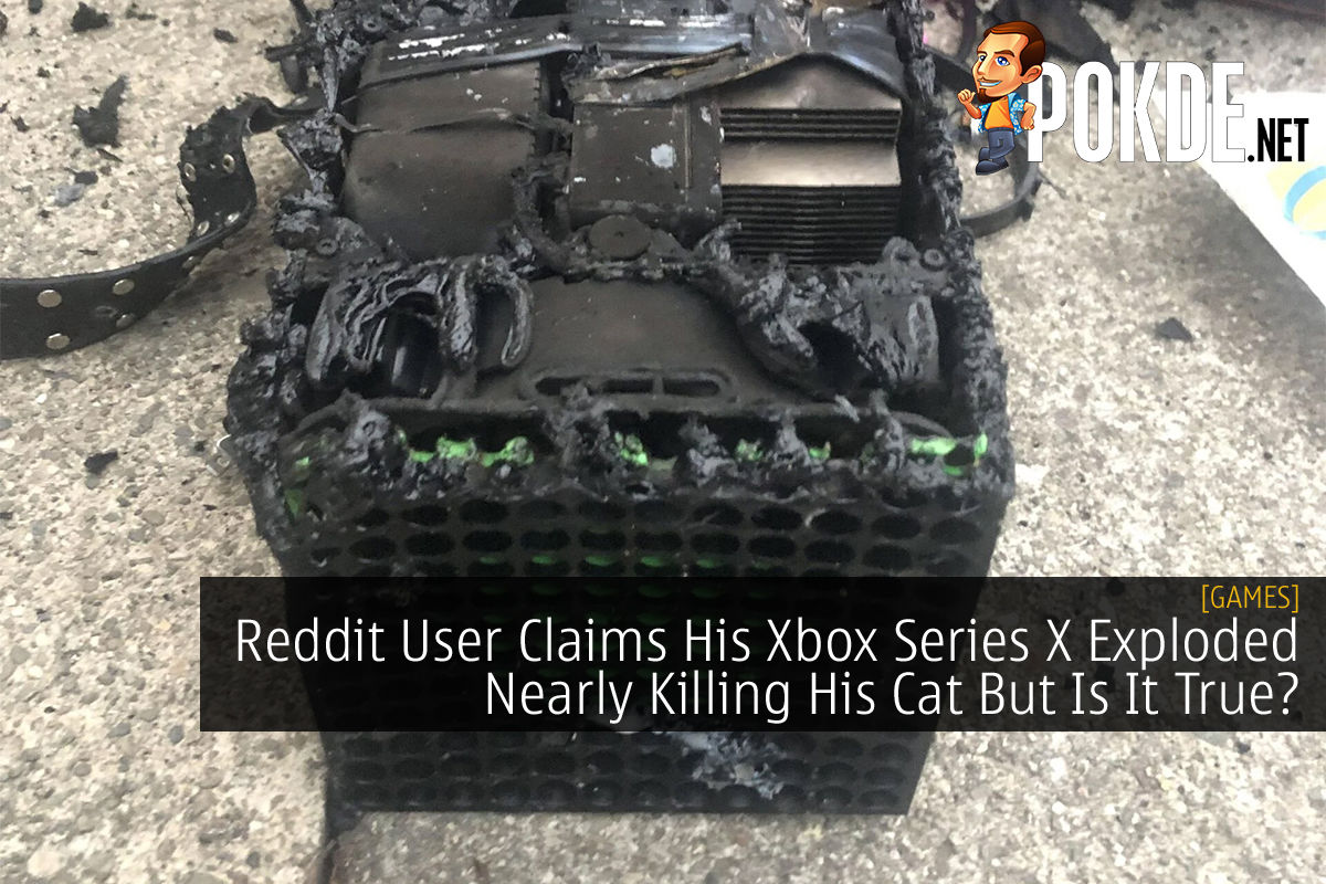 User Claims His Series X Exploded Nearly Killing His Cat But Is It Pokde.Net