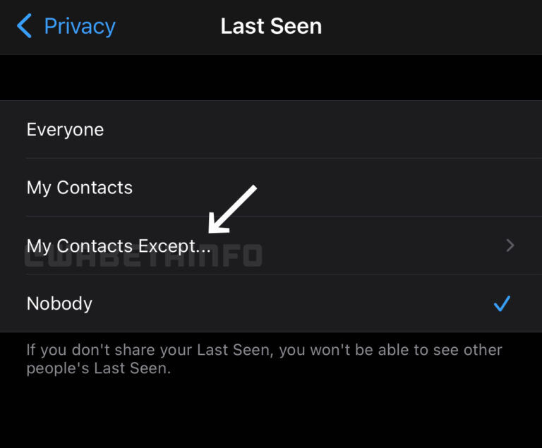 WhatsApp Reworking Privacy Settings
