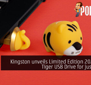 Kingston 2022 Mini Tiger USB Drive cover