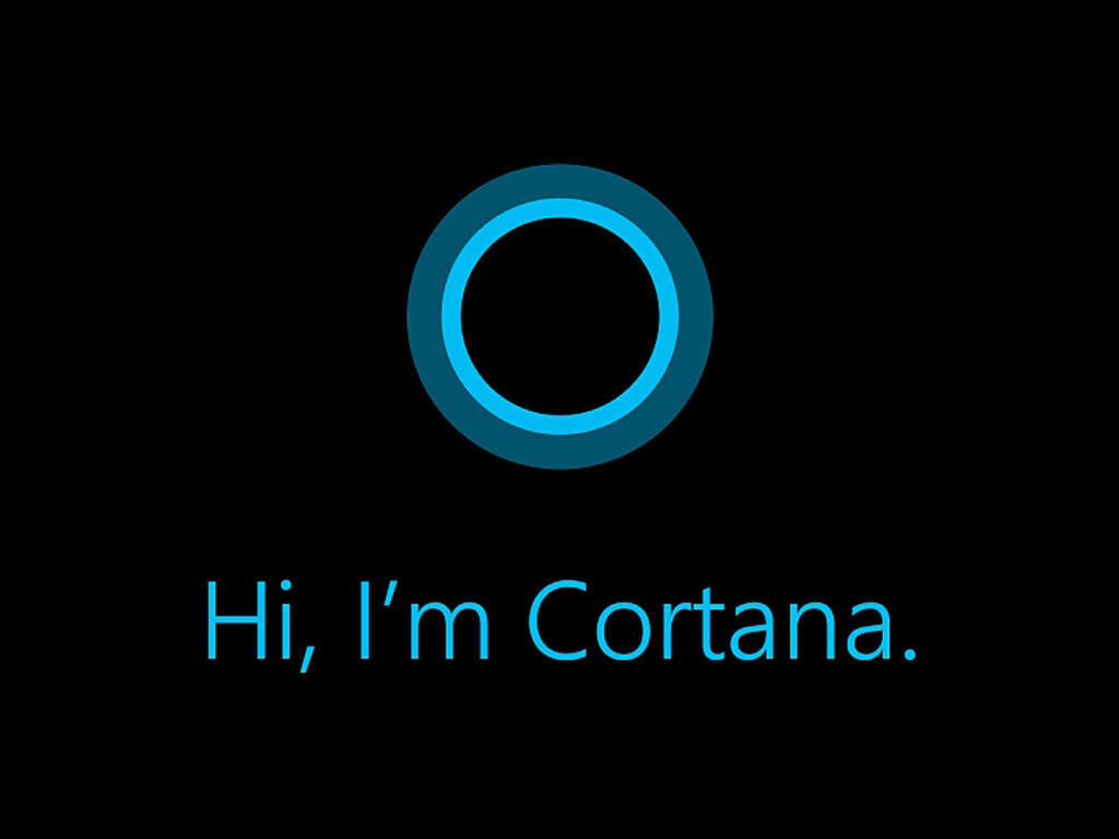 Cortana could've been named Bingo