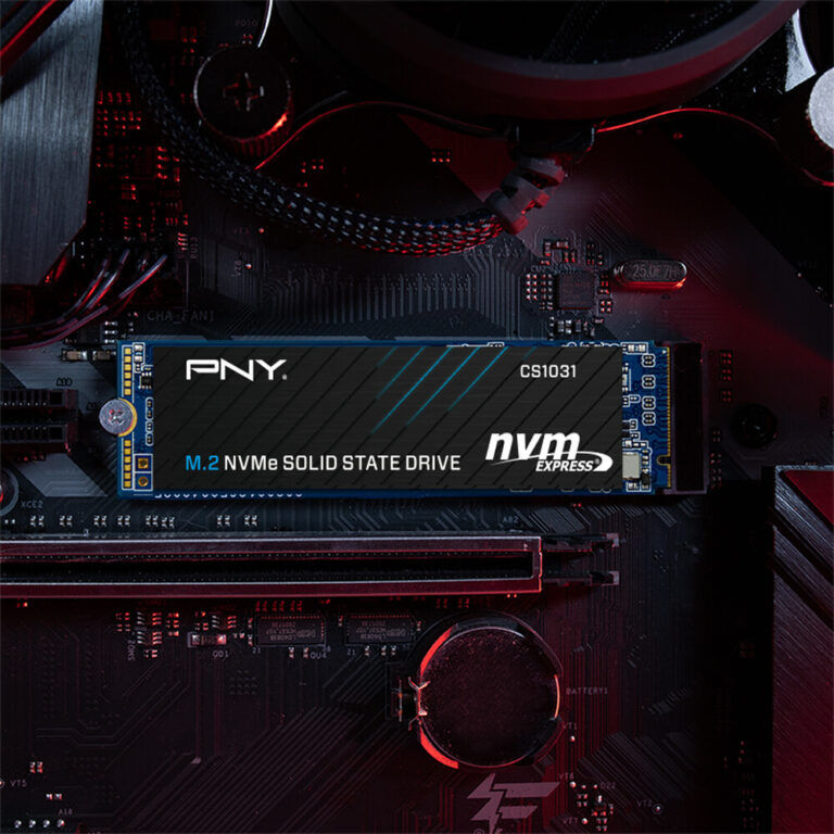 PNY CS900 and CS1031 SSDs Launched in Malaysia for As Low As RM99