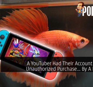 A YouTuber Had Their Account Making Unauthorized Purchase... By A Pet Fish 28