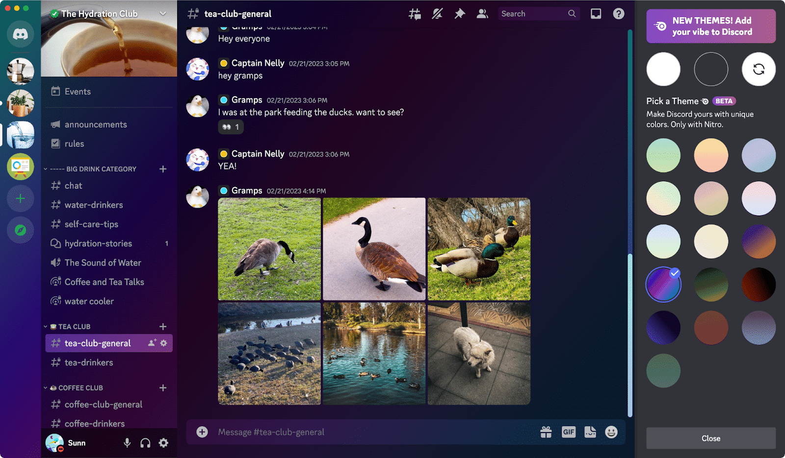 Discord Themes Now Lets You Change The Look Of The App, But Only For Nitro Subscribers 28